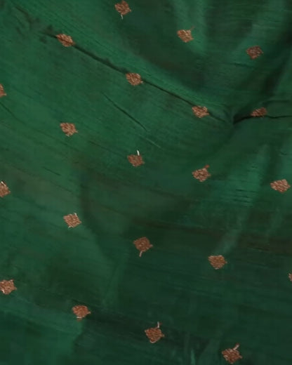 Borderless Raw Silk Saree