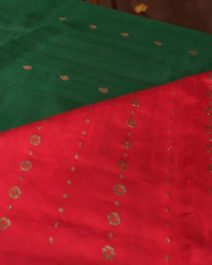 Borderless Raw Silk Saree