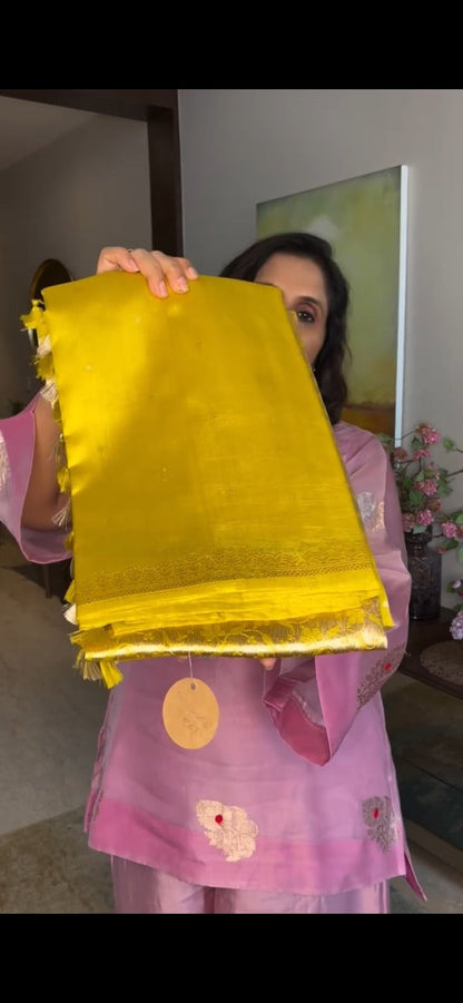 Swarnamukhi Silk Saree