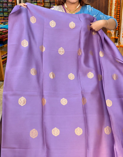 Ravy Weave Zari Suit Set